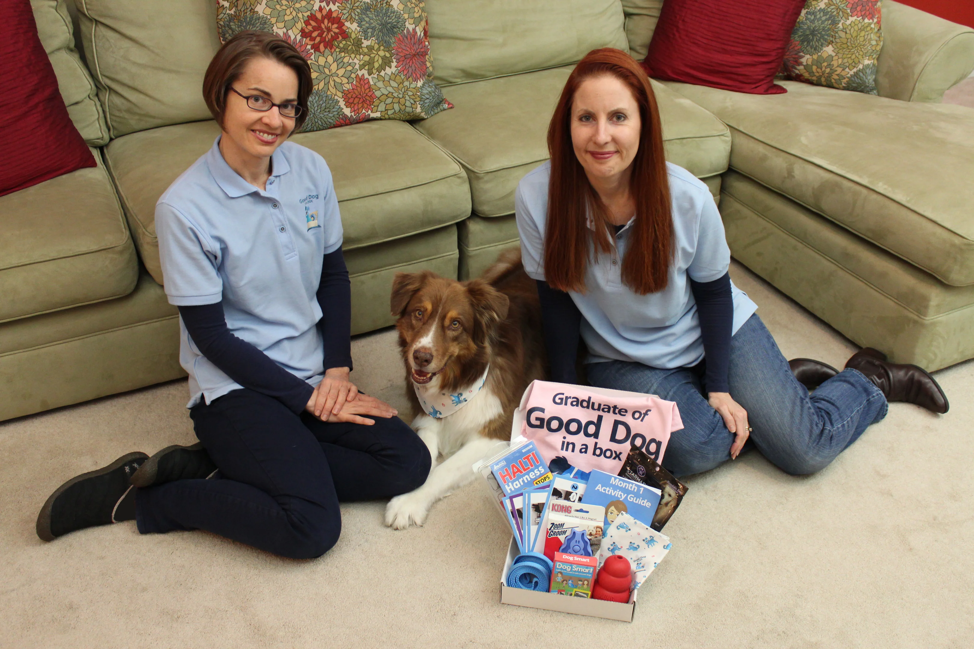 The Story of Good Dog in a Box