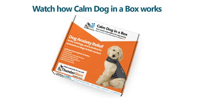 Calm Dog in a Box Anxiety Relief for Dogs Subscription - ThunderShirt