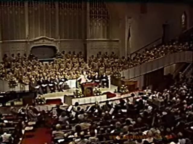 My Traumatic Perplexities