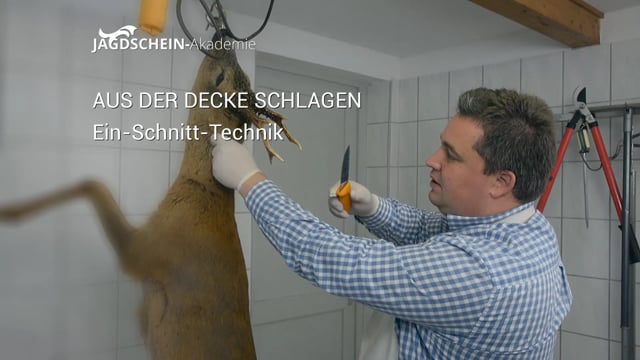 Aus der Decke schlagen