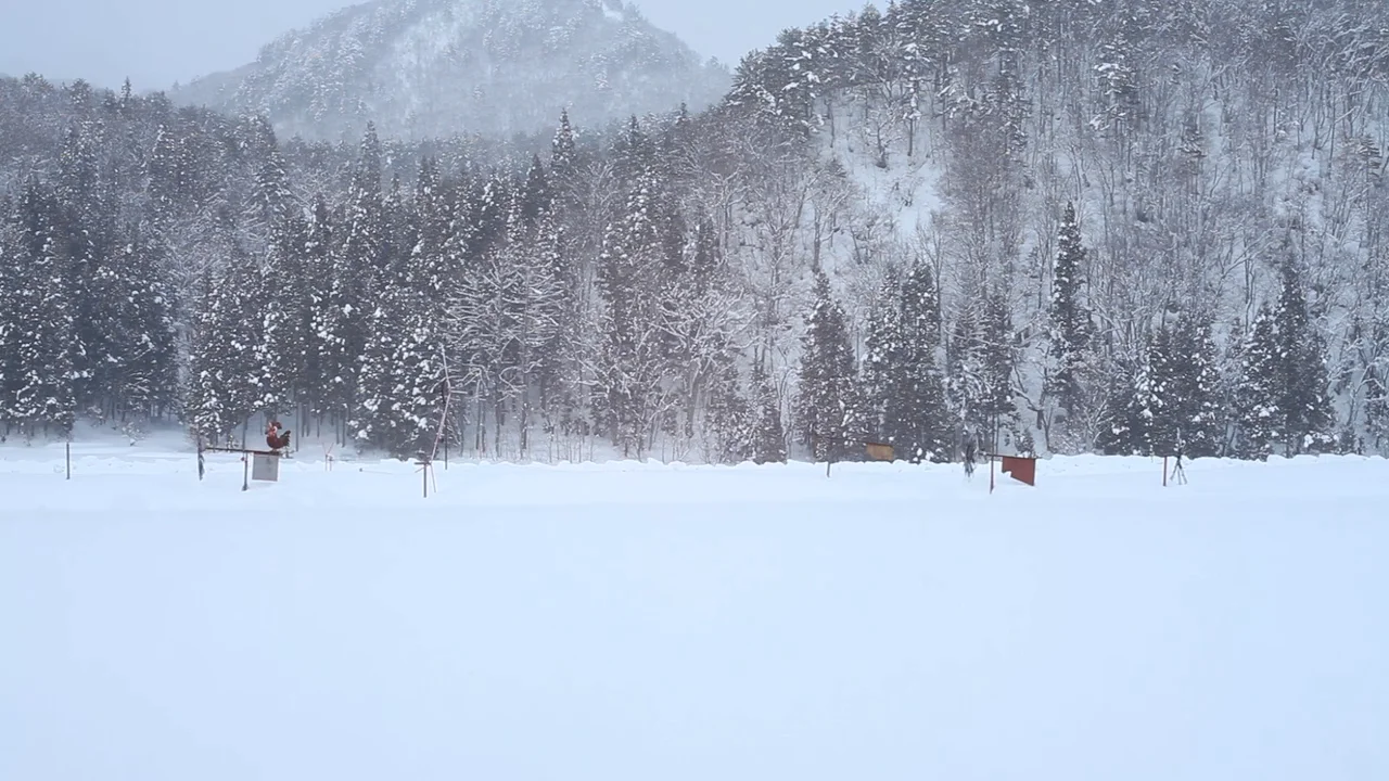 Fiber | Dissertation | visvim