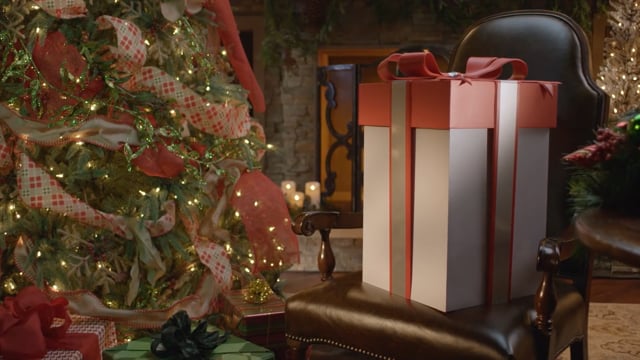 A Gift for Every Heart Promo
