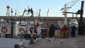 Millores per valor de 950 mil euros al dic del port
