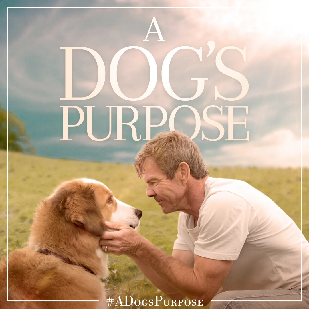 A dog's clearance purpose netflix