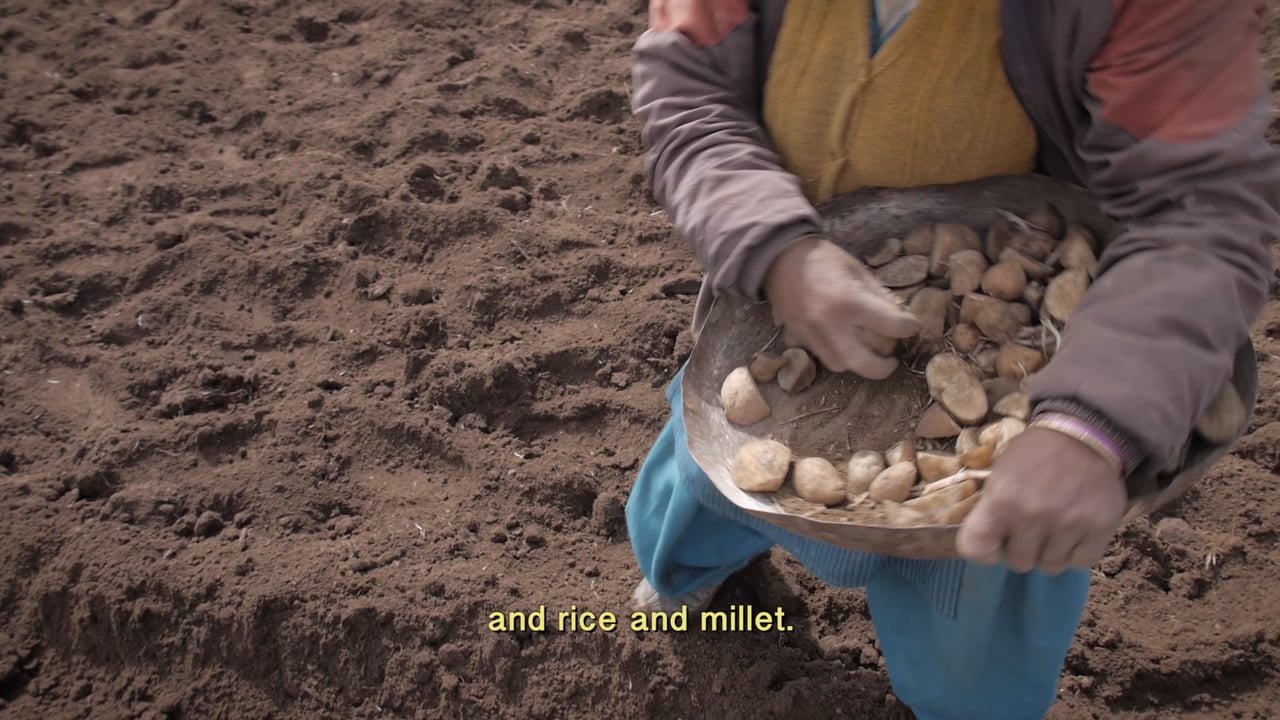 Lifelines, a video by Jane Dyson