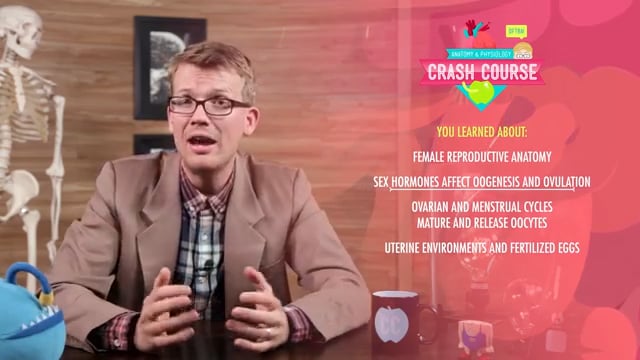 Reproductive System, part 1 - Female Reproductive System- Crash Course