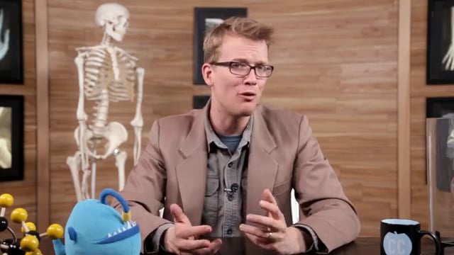 Reproductive System, - Male Reproductive System- Crash Course