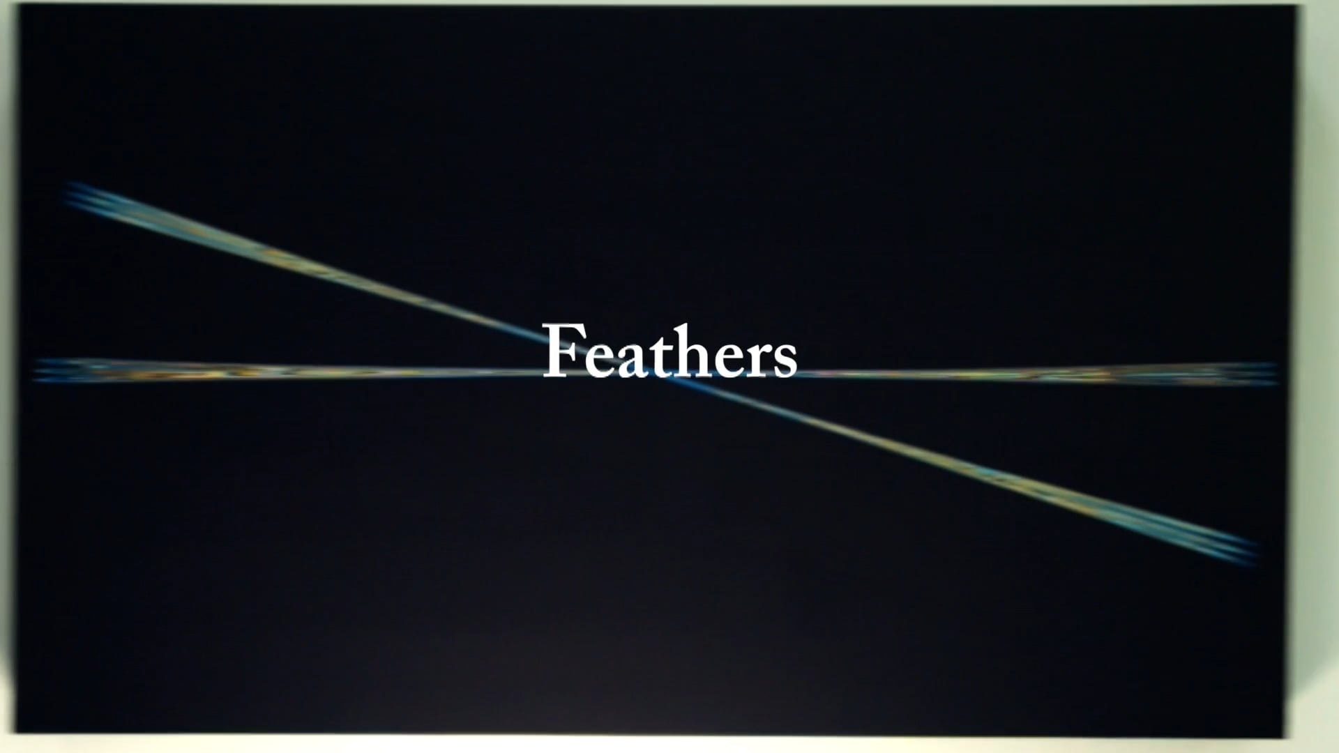 Feathers