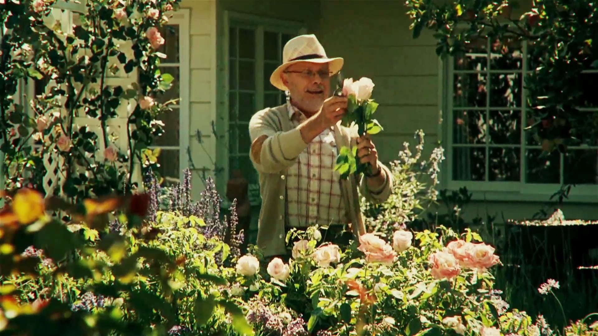 DSTV Catch Up Month of Love