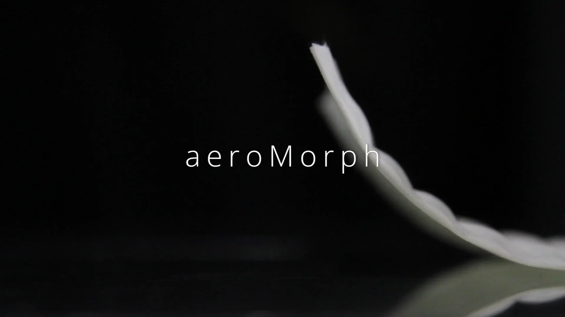 aeroMorph