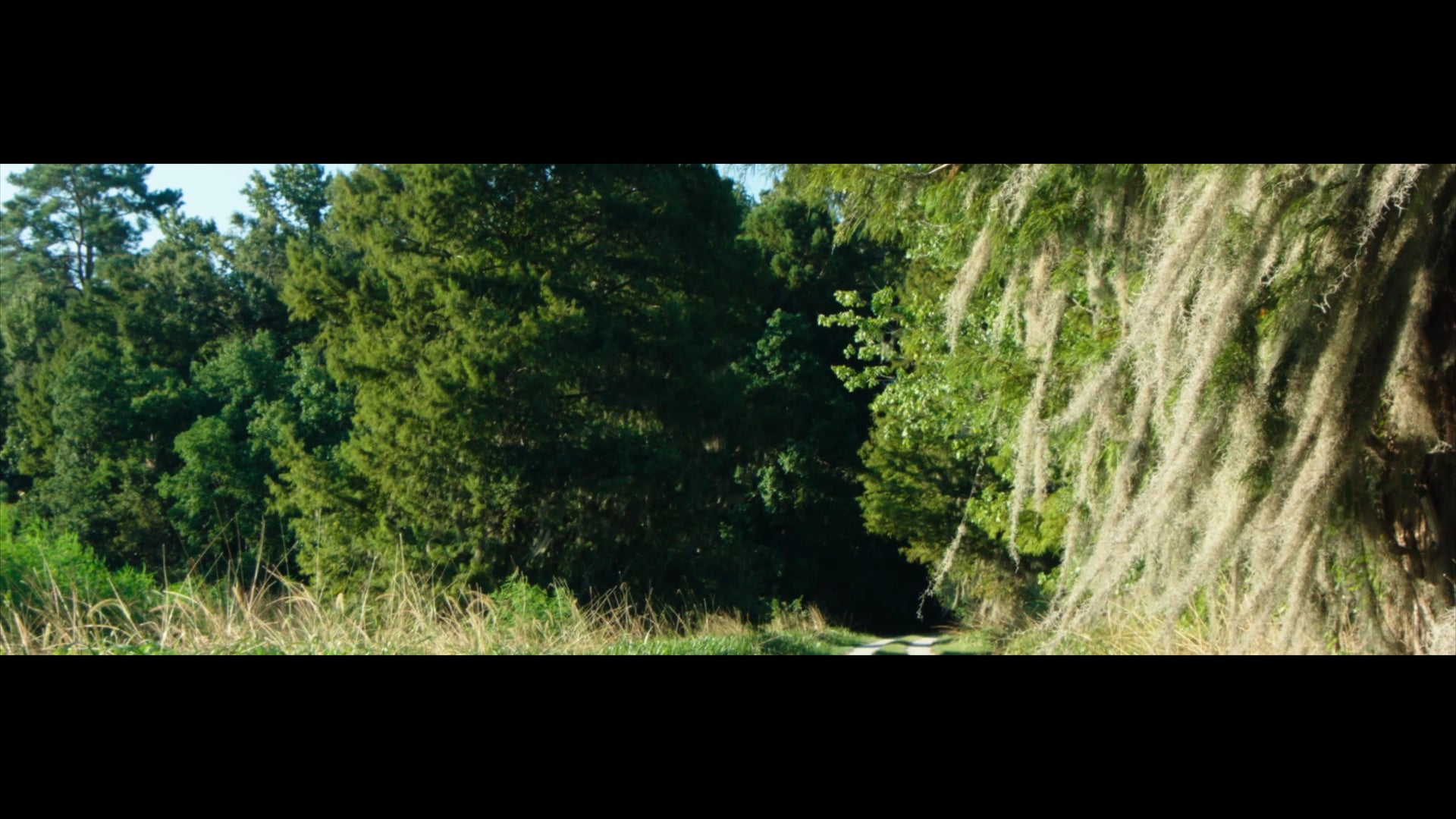 Jimmy Red - URSA Mini 4.6k camera test