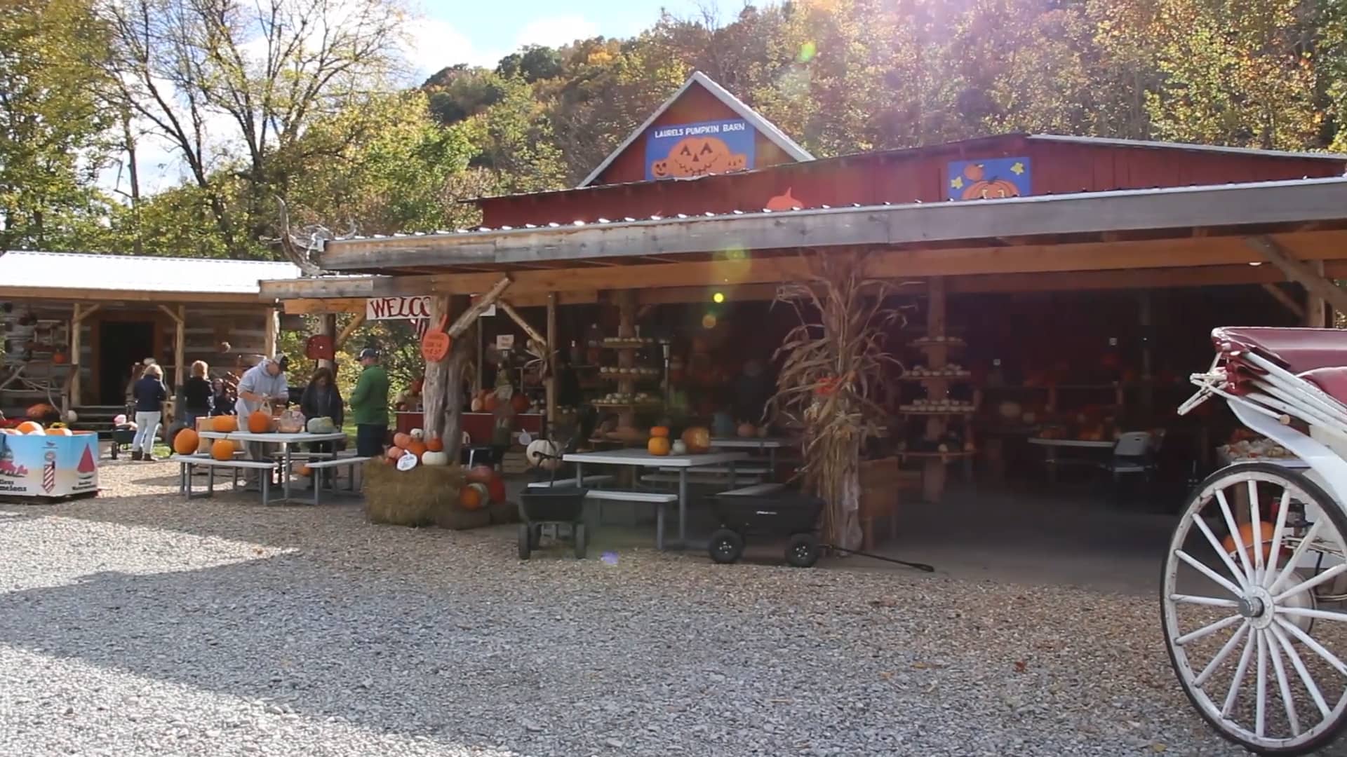 Feature Laurels Pumpkin Barn, Johnson City, TN on Vimeo