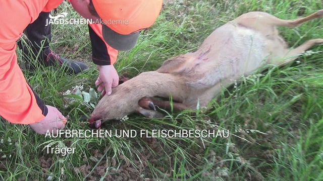 Aufbrechen - Träger