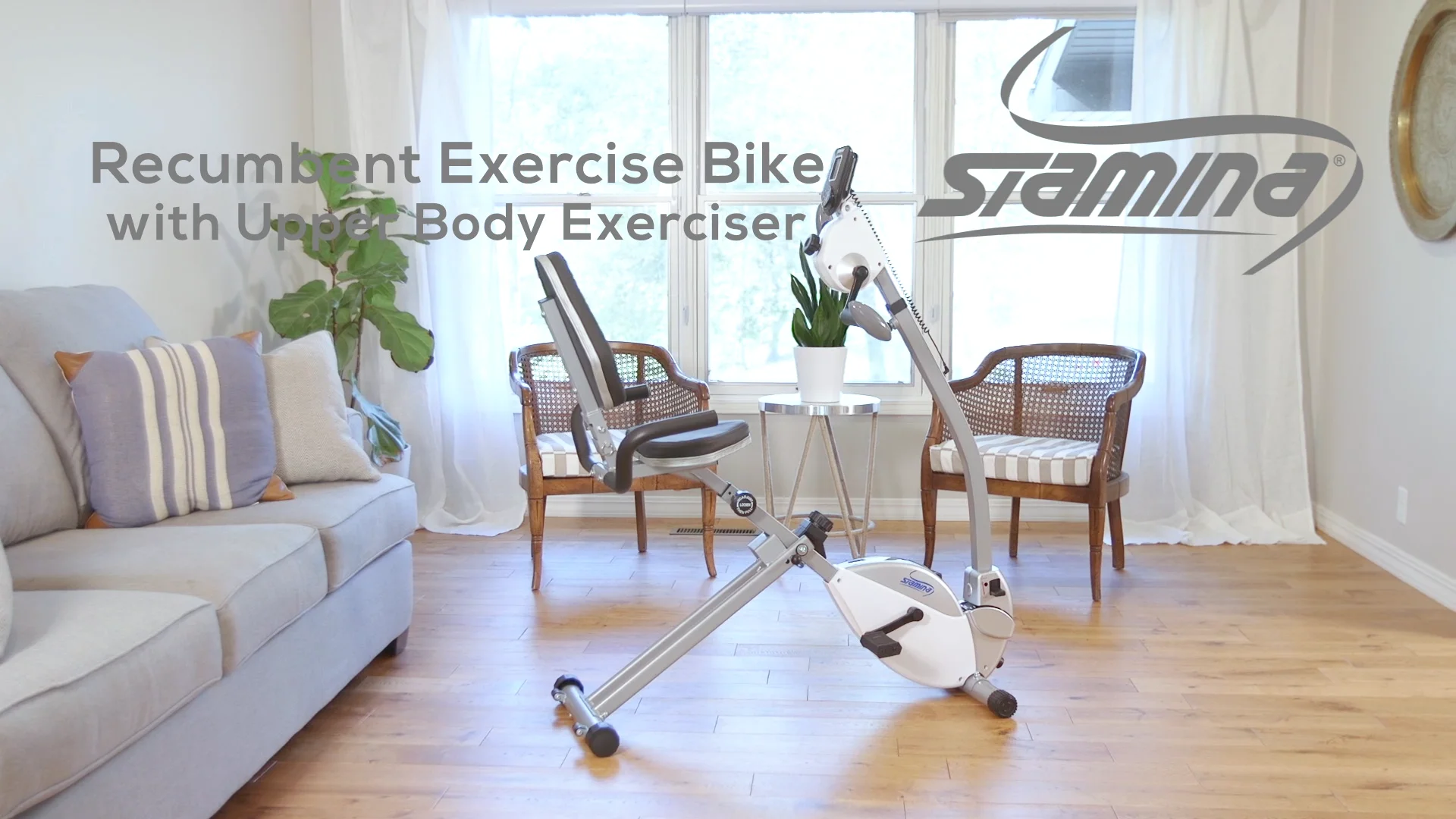 Stamina recumbent exercise bike deals with upper body exerciser