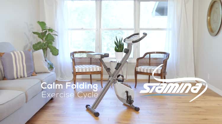 Calm Folding Exercise Bike