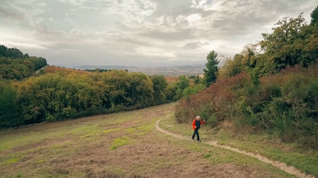 Spot promozionale King Sport