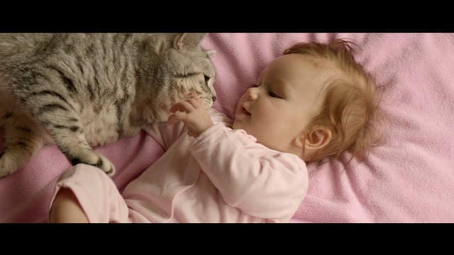 Video poster: Bont voor Dieren - Waar hield de liefde op?