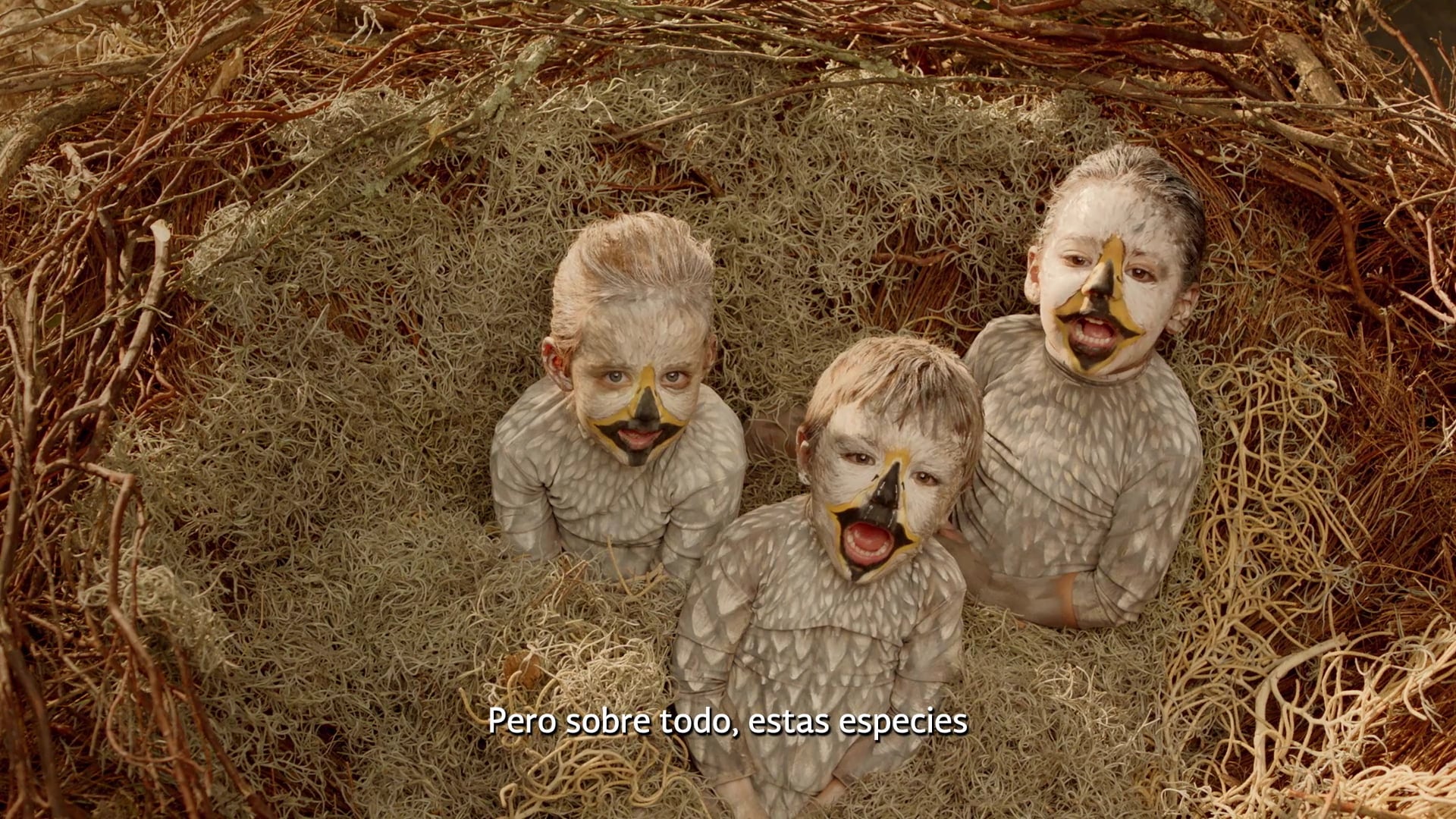 Todos los videos