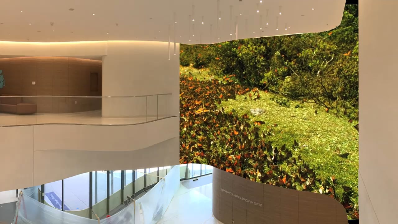 Visual Healing Interior Lobby