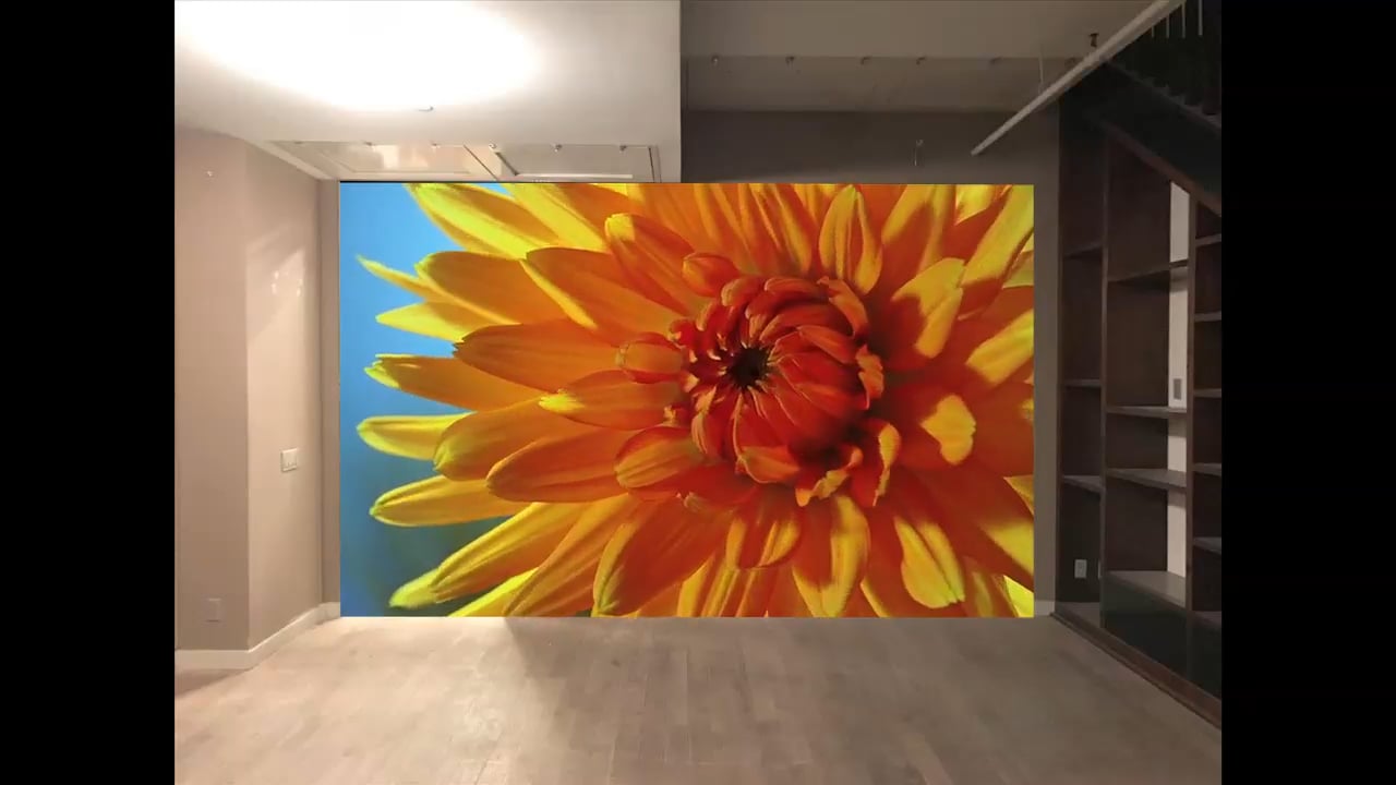 Visual Healing