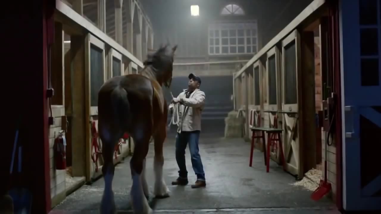 Budweiser 'Lost Dog' Super Bowl 2015 Ad FULL COMMERCIAL HD