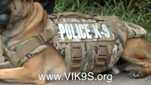 Police show new K-9 Vests