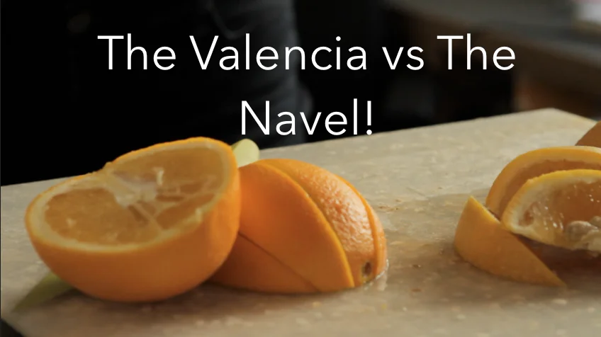 Navels vs. Valencias, The Orange Debate