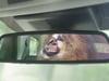 Paul Miller | Land Rover of Parsippany | Vispol.TV