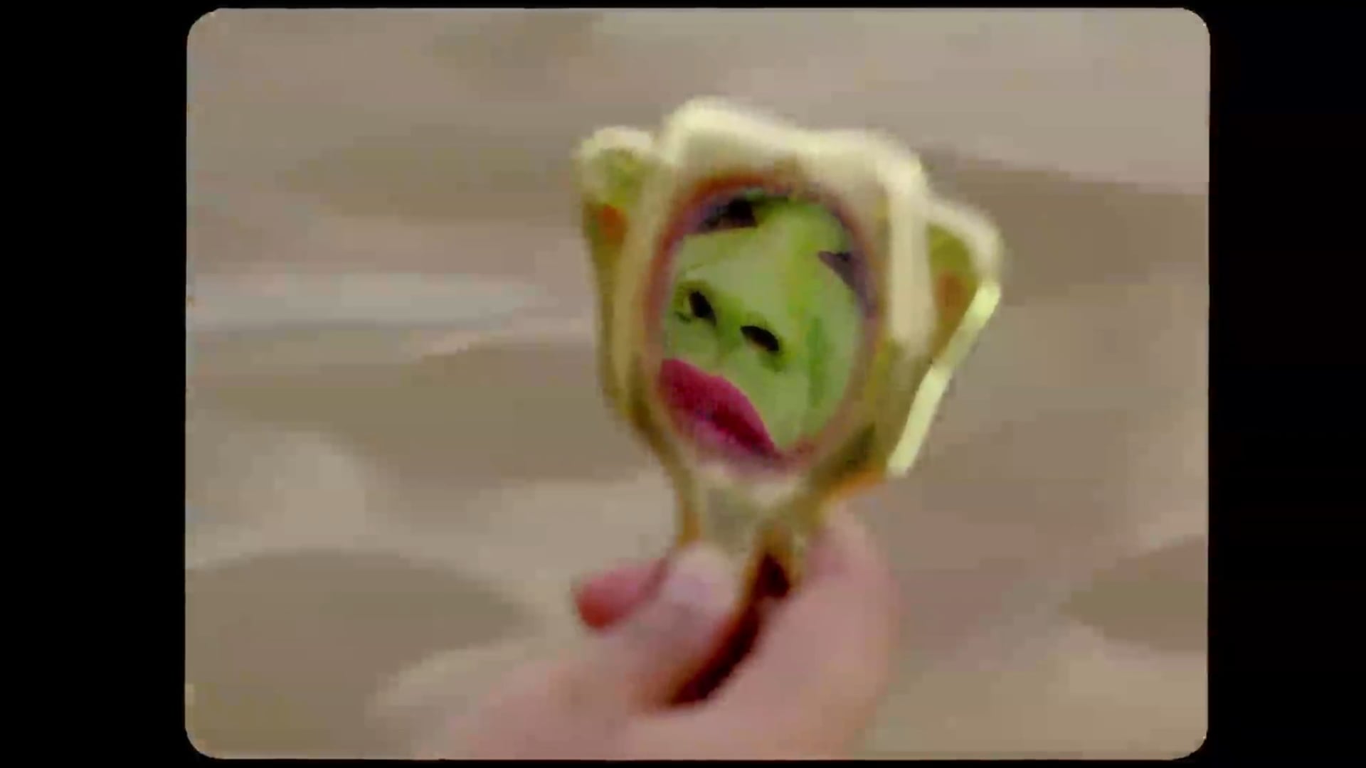 REMEMBERING DIANA AN OPEN LETTER TO ABBAS KIAROSTAMI