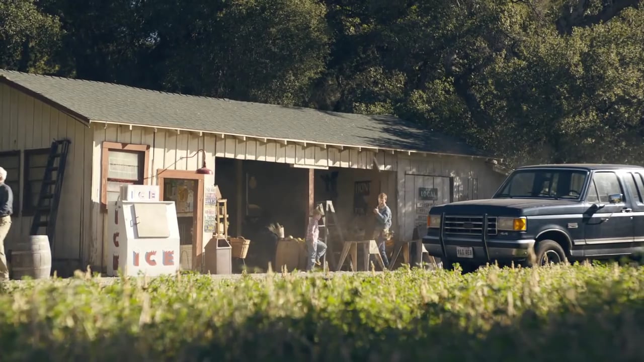 FirstBank - Puppy Sale - 60 [HD]