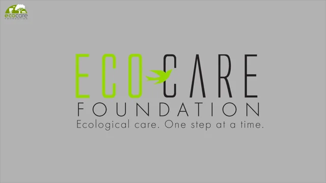 Home  Ecocare Foundation