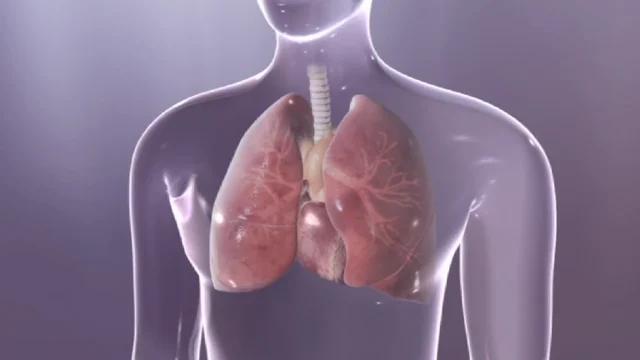 Kleinzelliger Lungenkrebs