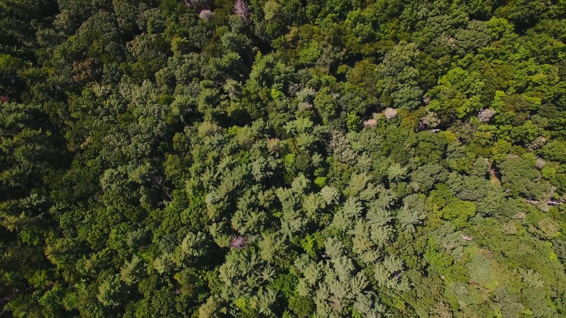 Karl Meltzer | Made to Be Broken  |  Full Film