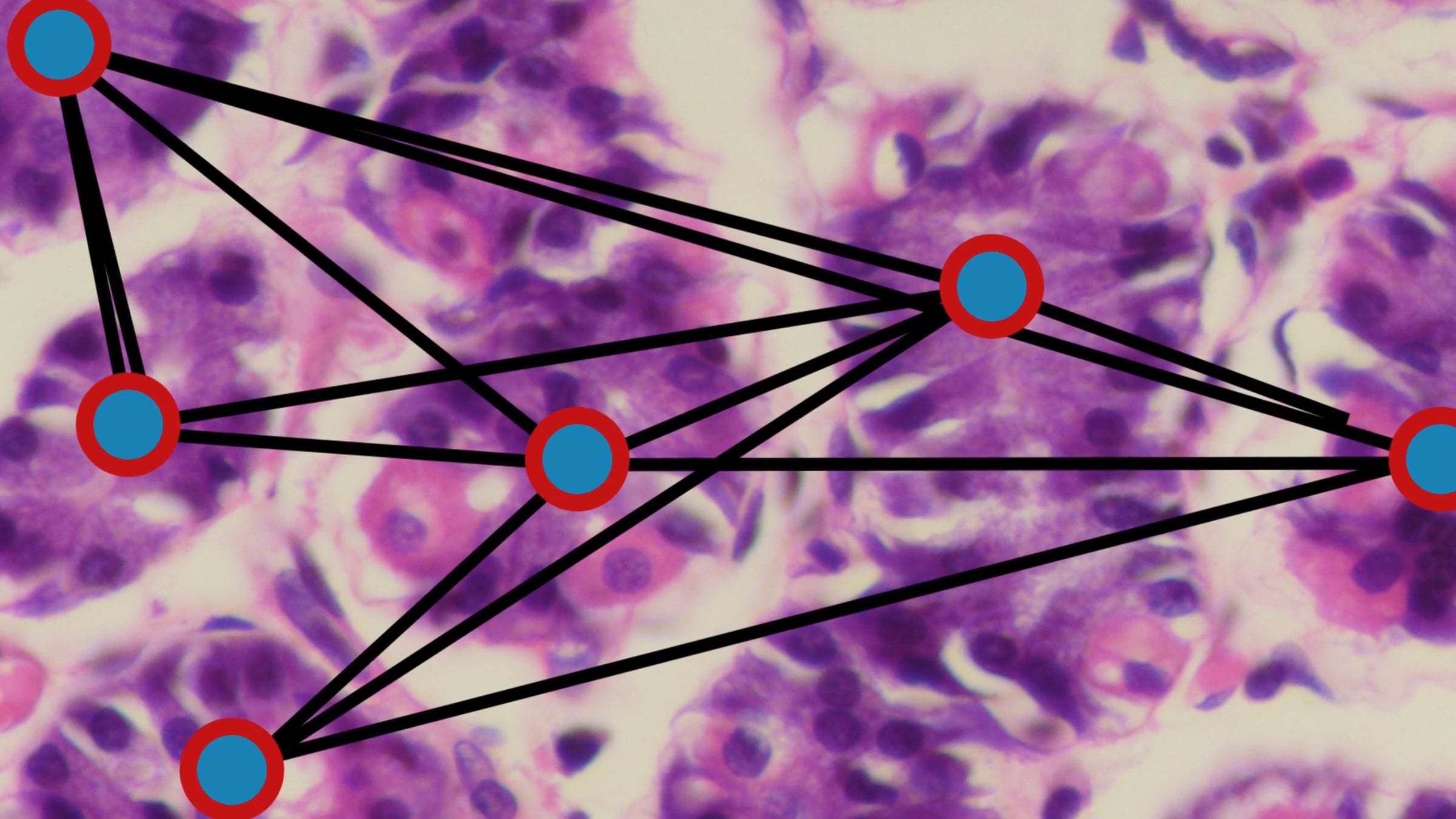 Cell-Graphs | Videos & Movies on Vimeo