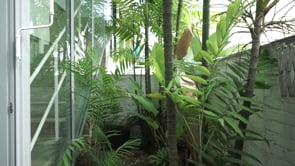 2015-Ling Hao KUU-Minus K House