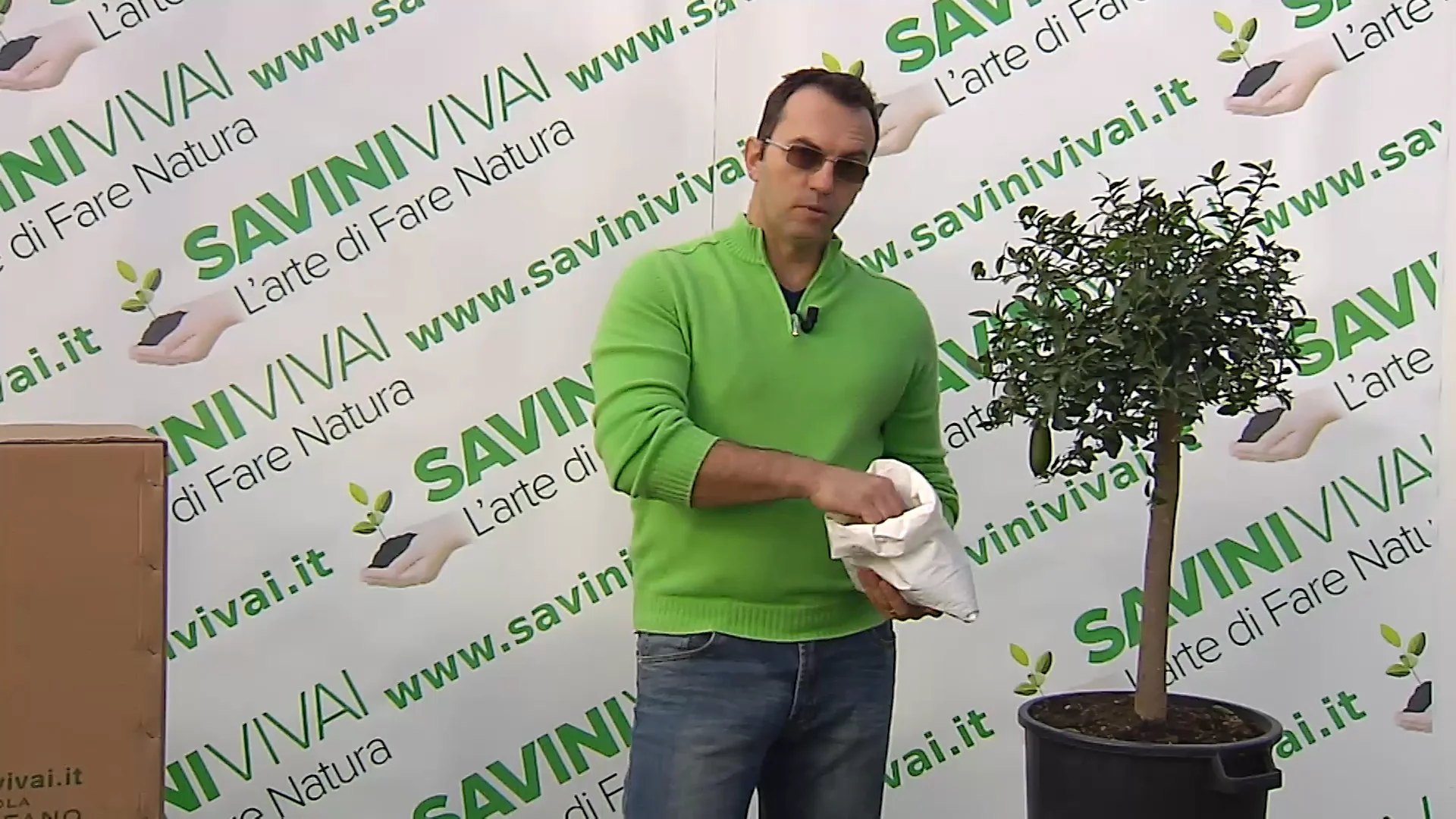 Finger Lime Verde In Vaso 20 Cm – Agrume Esotico Prodotto In Sicilia Dal Vivaio UJardinu – Pianta Da Esterno Sempreverde - 3