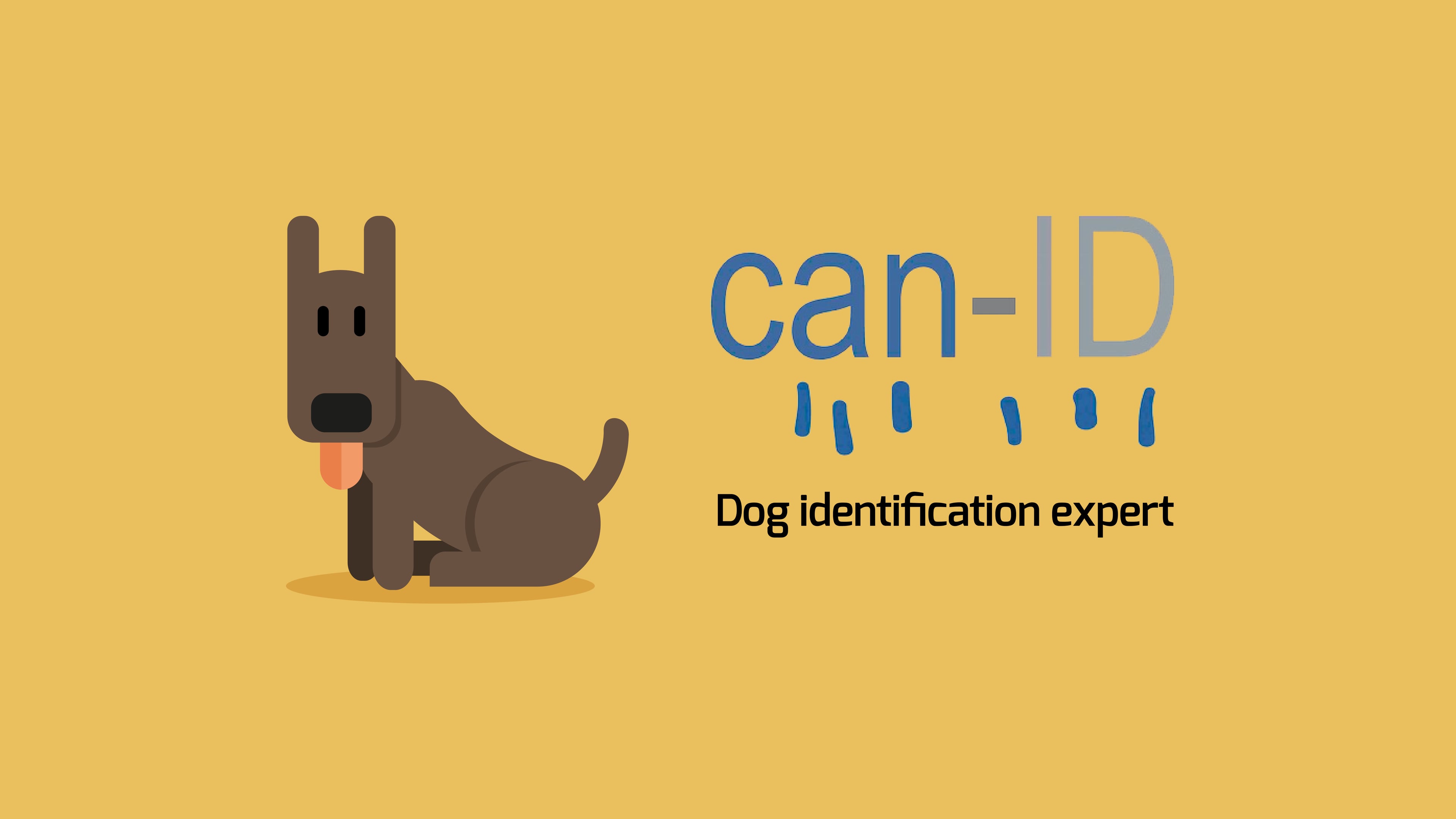 can-id-dog-identification-expert-on-vimeo