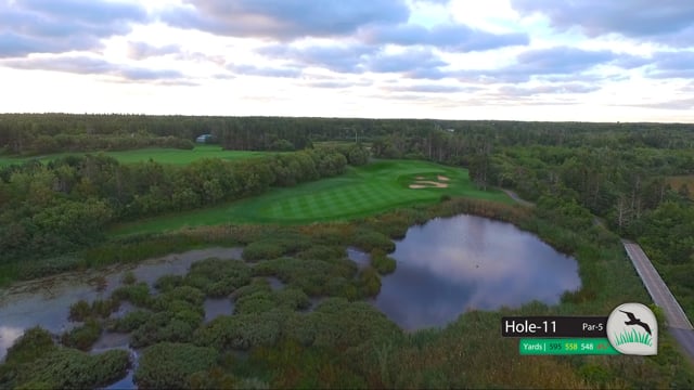 Hole 11