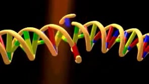 Genetic Mutation - YouTube