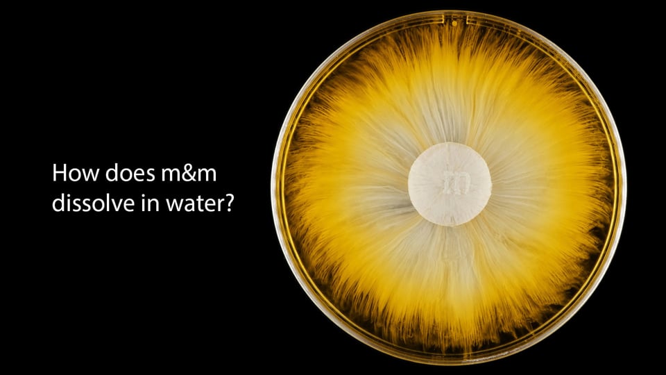 m&m's Dissolving in Water - 4K