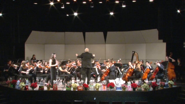 Orchestra Solo
