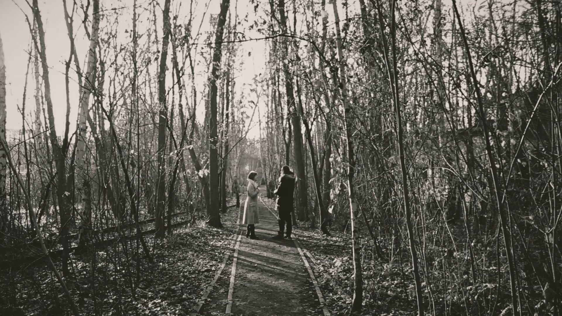 CHEKHOV ON THE ROAD - Nina | Trigorin - Part I.