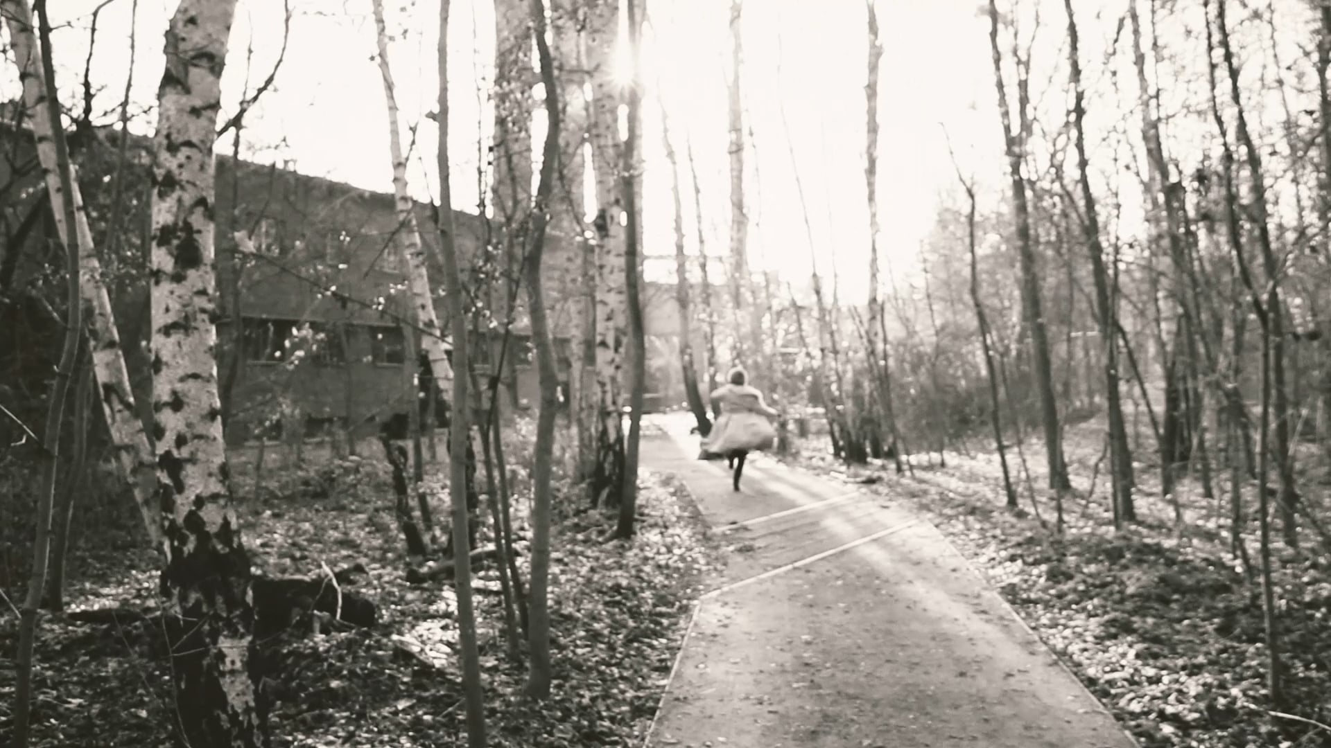 CHEKHOV ON THE ROAD - Nina | Trigorin - Part II.