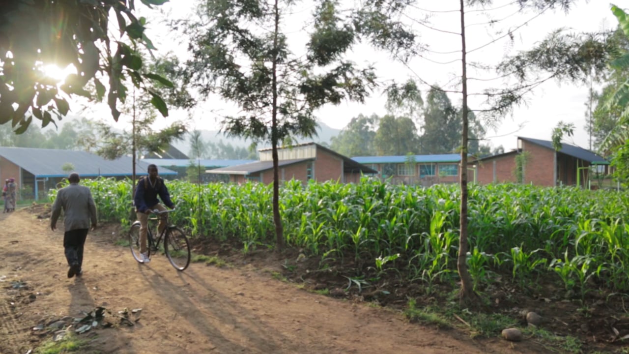 Still image from 'Mubuga Primary School' video.