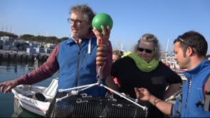 El projecte sèpia a Polònia