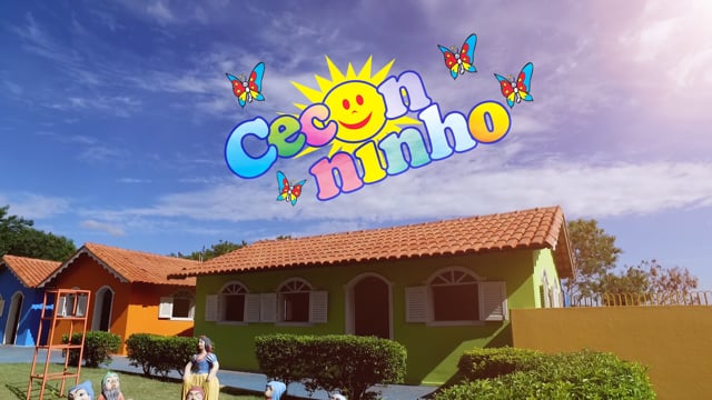 Filme Institucional Ceconinho 2016