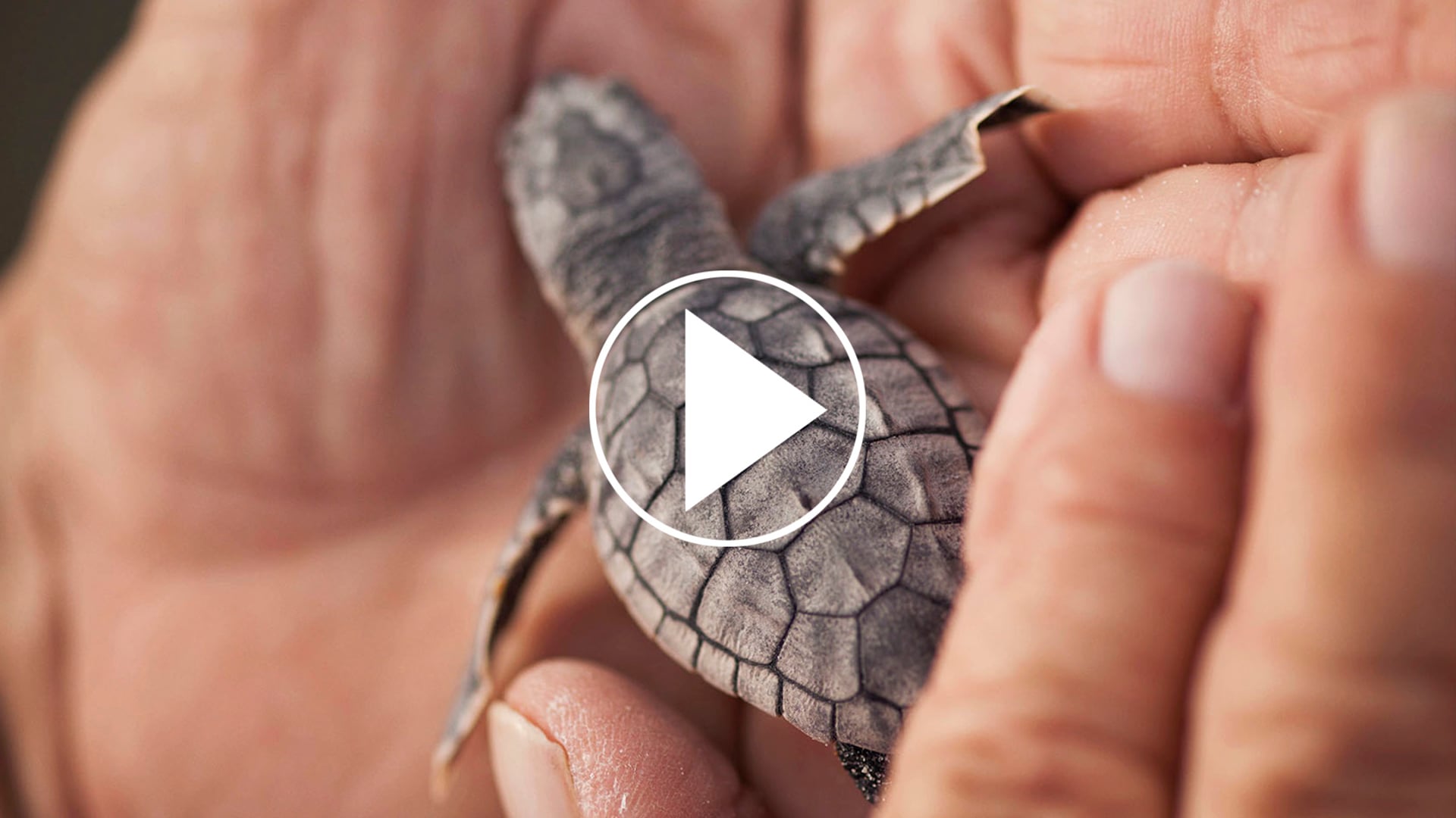 SURFSIDE - It's so Miami