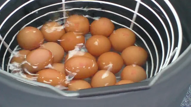 Rotomaid  THE COMPLETE EGG WASHING AND SANITISING SYSTEM