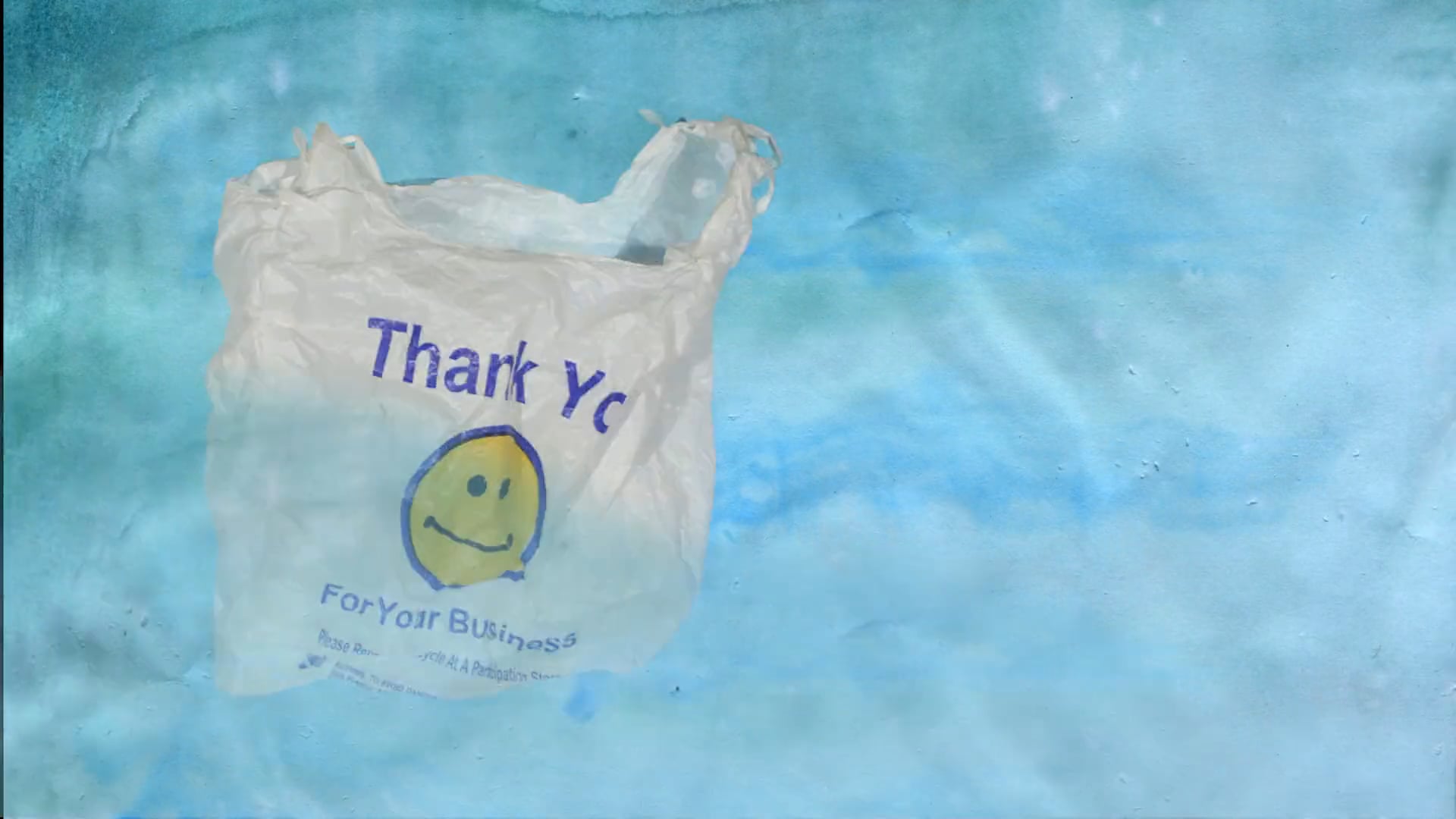 Plastic City: The Tale of A Plastic Bag in NYC