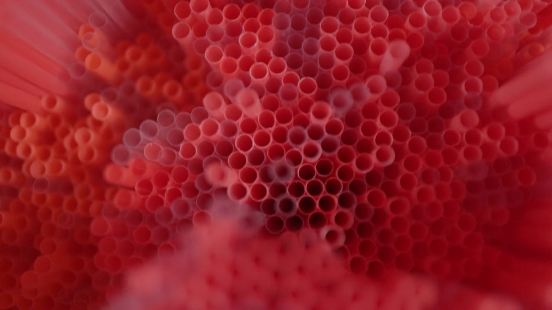 NOWNESS: THE ART IN MICROCOSMS